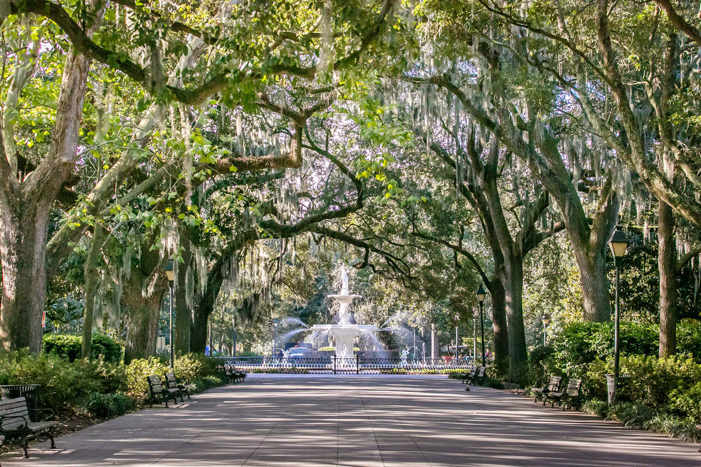 Fountain surrounded by trees in a park