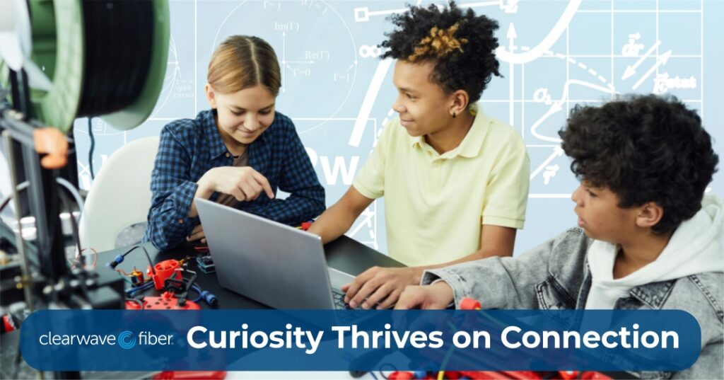 STEM Clearwave Fiber.